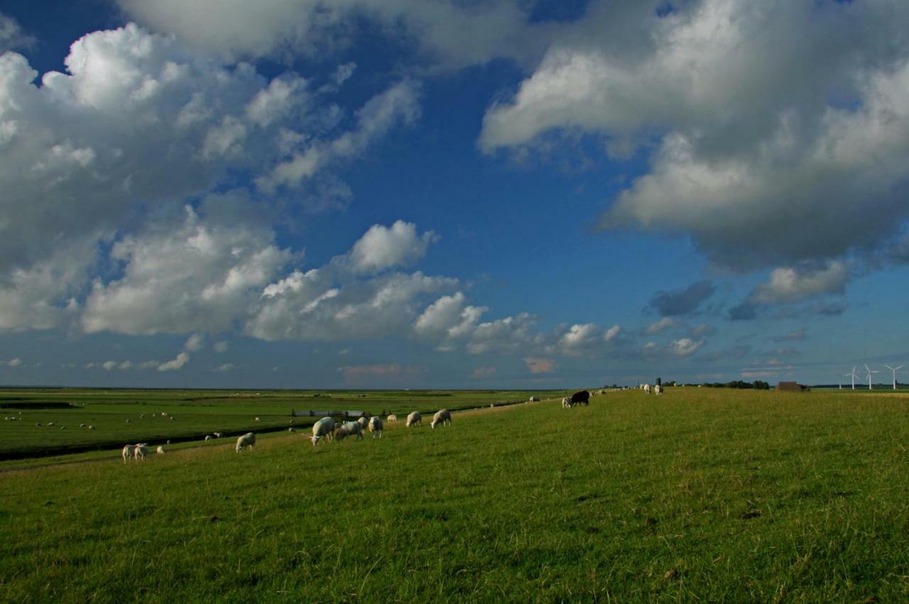 "Wattengebiet Entdeckungsreise" Tzummarum Exterior photo